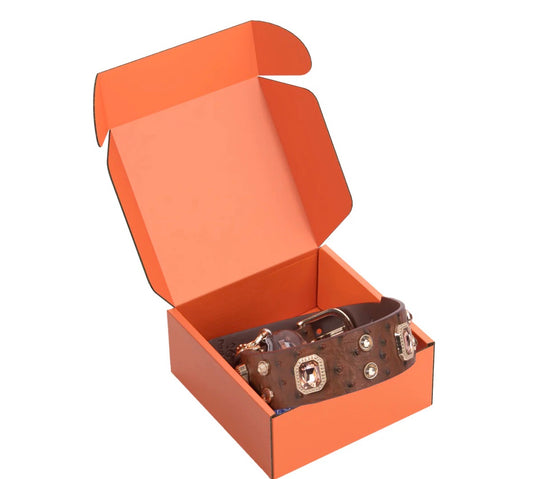 Collier cuir avec cristal chocolat et médaille QR code d’identification.