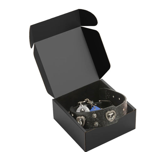 Collier cuir avec cristal Noir et médaille QR code d’identification.