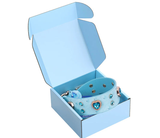 Collier cuir avec cristal bleu menthe et médaille QR code d’identification.