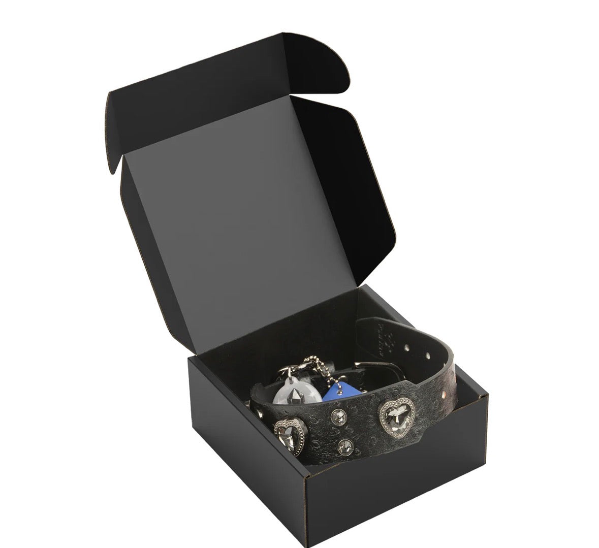 Collier cuir avec cristal Noir et médaille QR code d’identification.