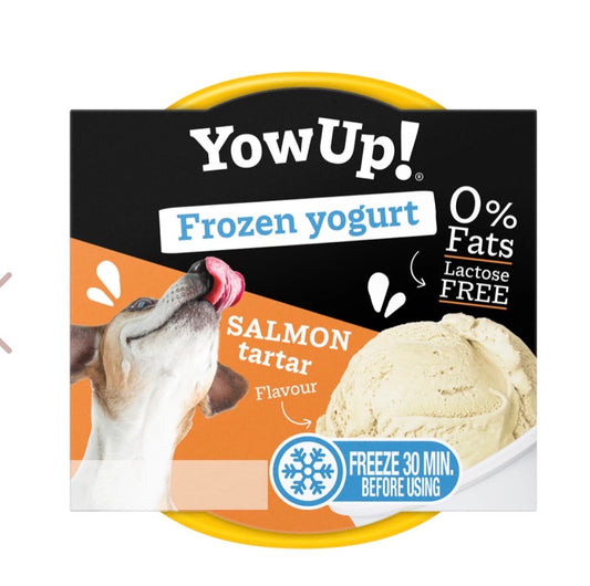 Yaourt glacé au saumon